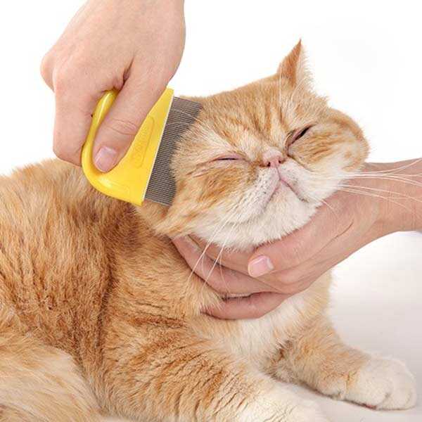 Cat Idea Avuç İçi Köpek Kedi Pire Tarağı Sarı Kedi Pire Tarağı CATIDEA
