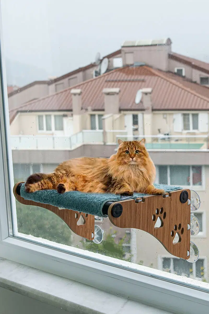 Ata Home Ahşap Cama Yapışan Kedi Yatağı Vantuzlu Cam Yatağı Terası Gri