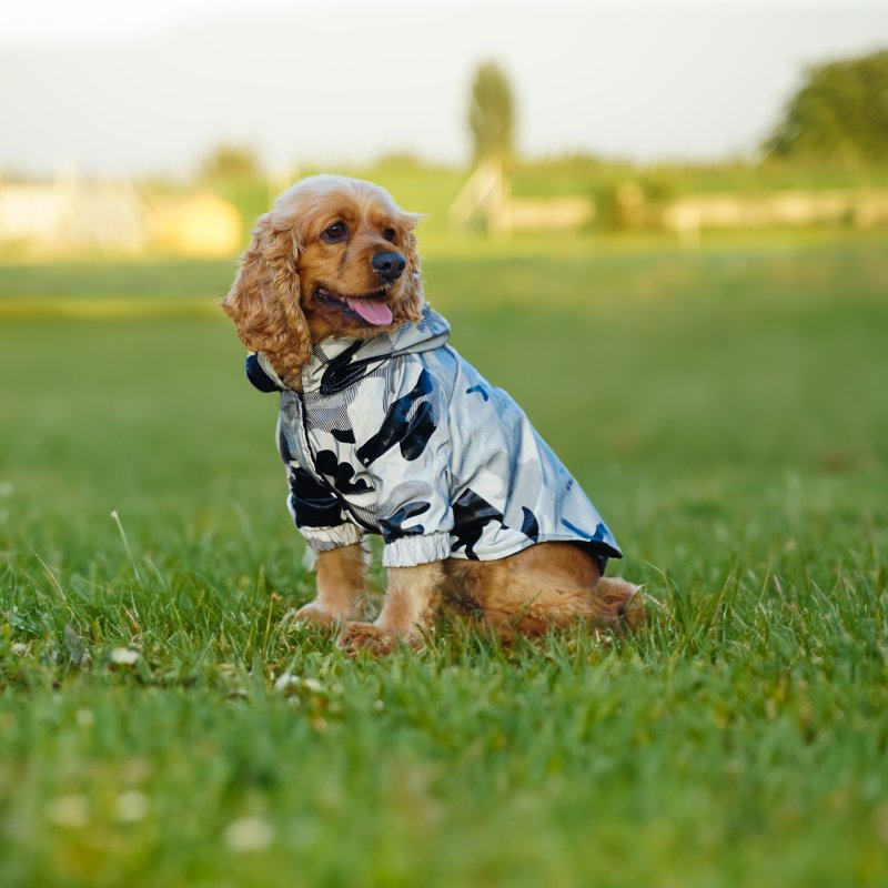 Kuccu Kuccu Kamuflaj Desen Reflektörlü Köpek Yağmurluğu 4XLarge