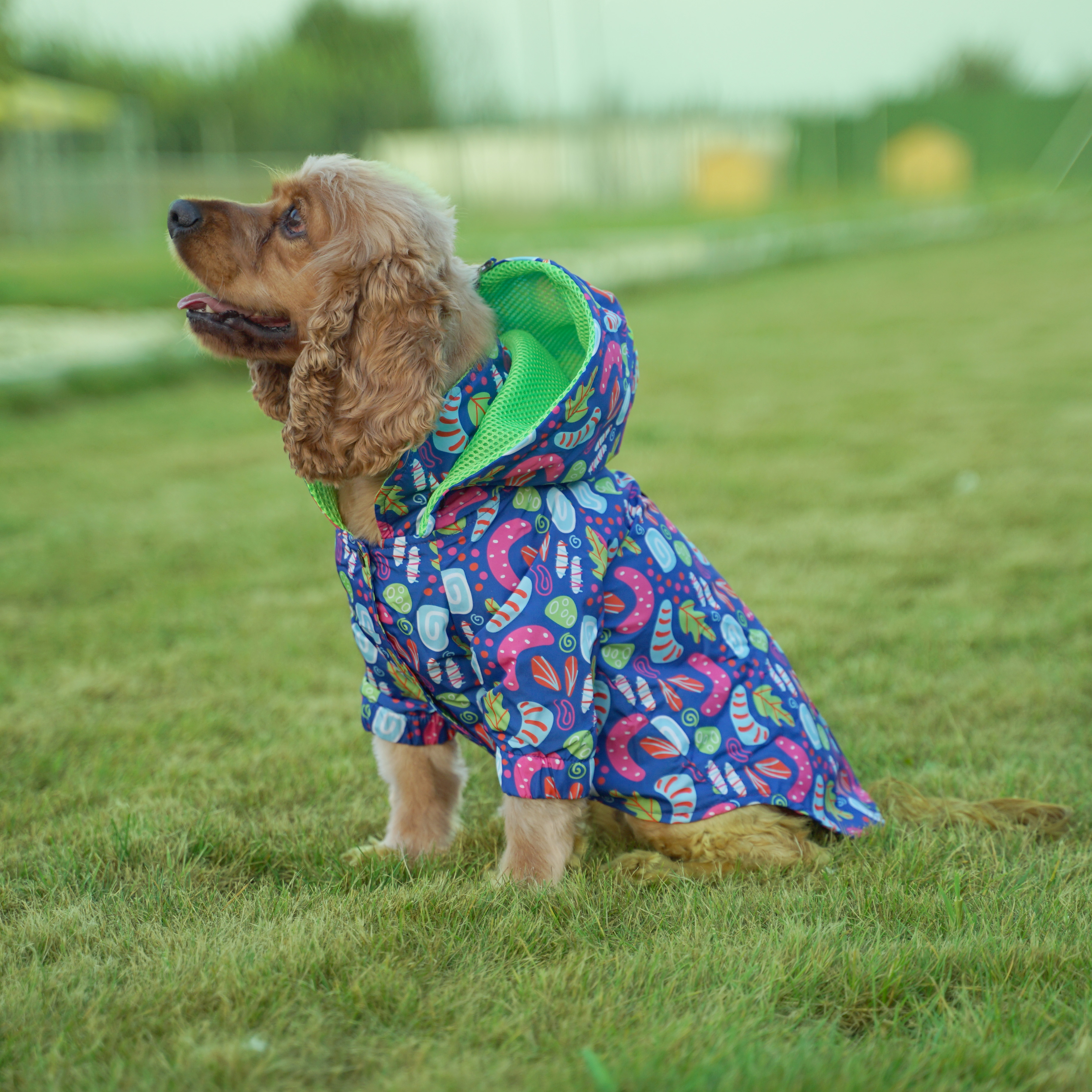 Kuccu Kuccu Tasarım Neon Köpek Yağmurluğu Large