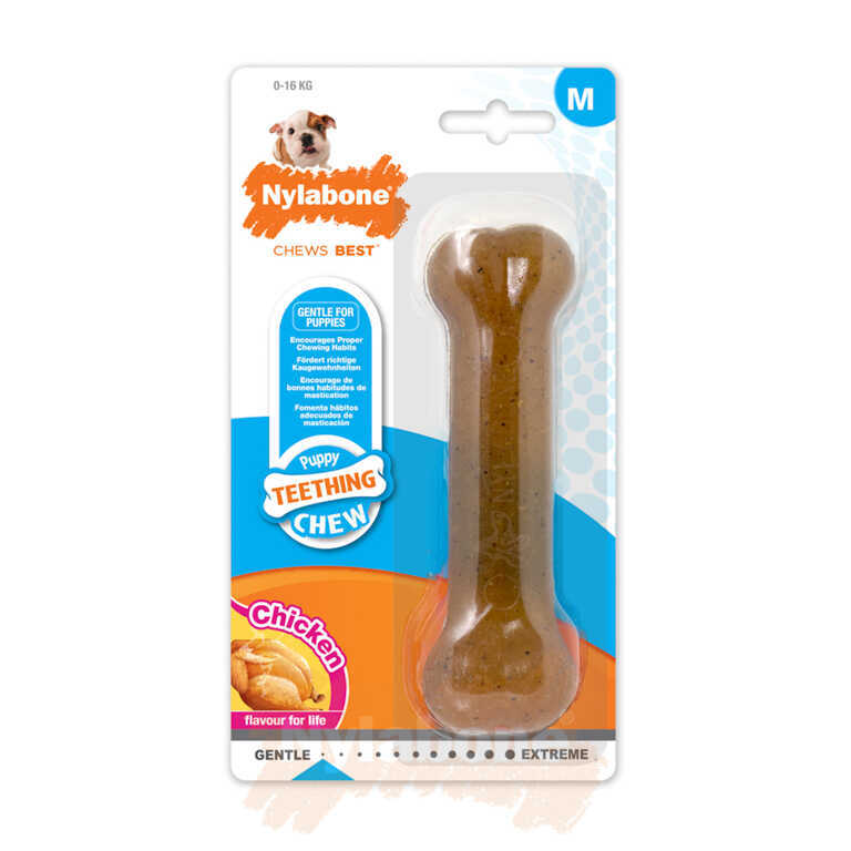 Nylabone Tavuk Aromalı Yavru Köpek Çiğneme Kemiği Medium